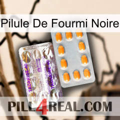 Black Ant Pill new12